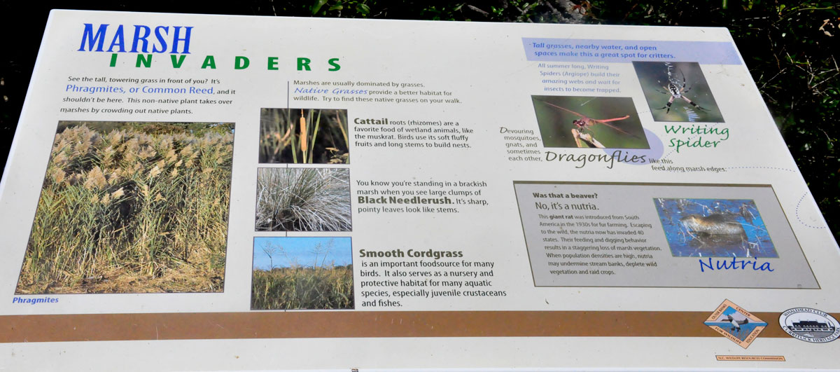 sign about Marsh Invaders